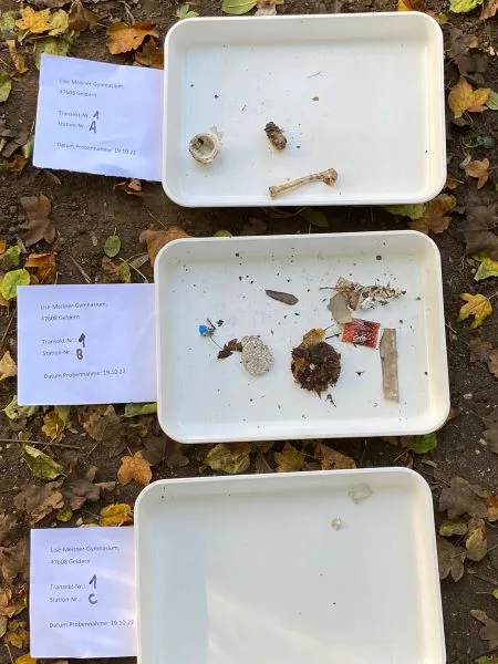 Greenscouts 3