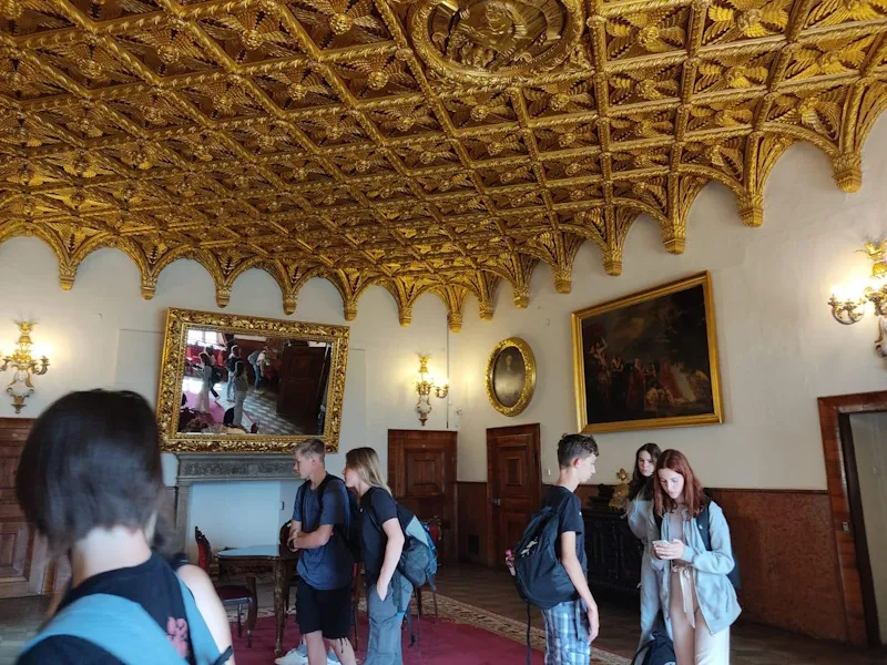 erasmus 13